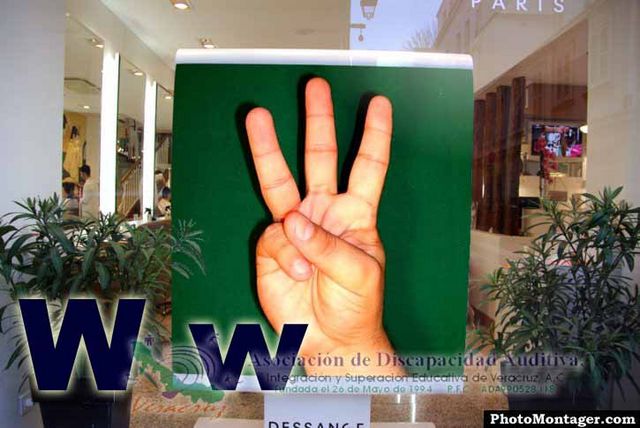 W w