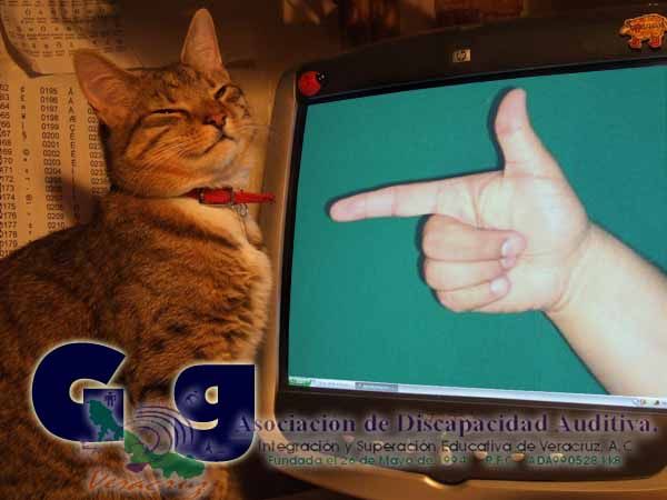 G g